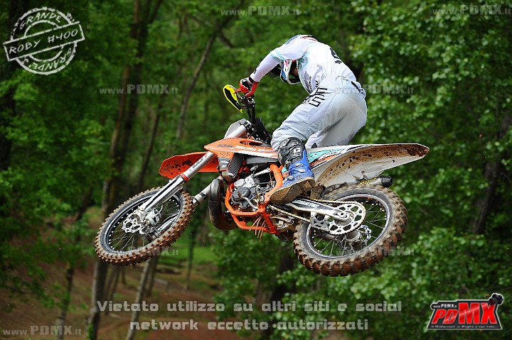 DSC_7287 (Copy).jpg